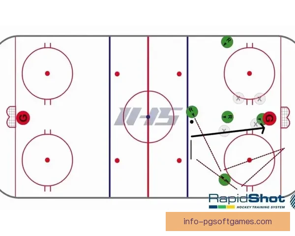 冰球教学视频大全：学习技巧、战术策略一网打尽