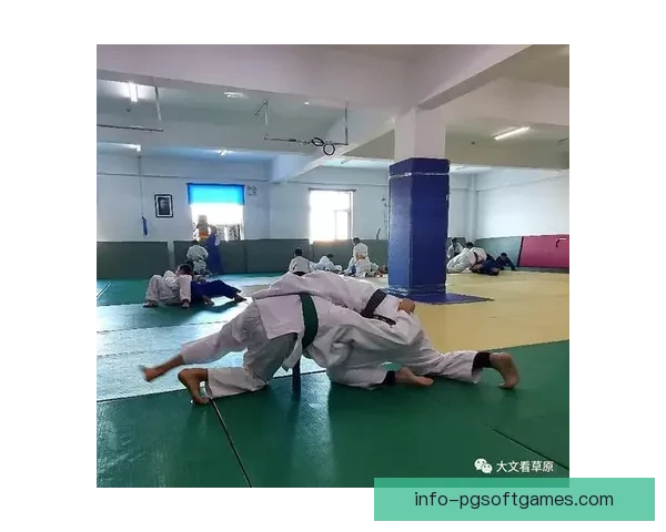 柔道技巧大观:实用技术解析及应用实践 柔道技巧大观:实用技术解析及应用实践