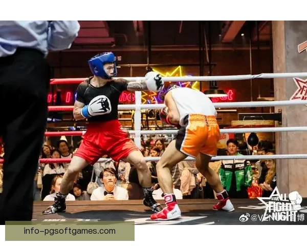 激情对决：拳击巅峰会议燃烧全场