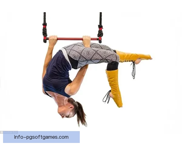 瑜伽世界纪录大全:挑战身体极限,突破自我境界 瑜伽世界纪录大全:挑战身体极限,突破自我境界