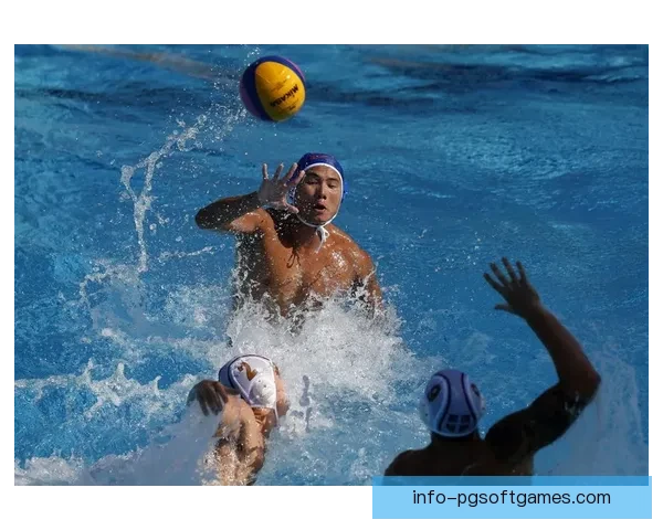 精彩纷呈的跳水公开赛盛况