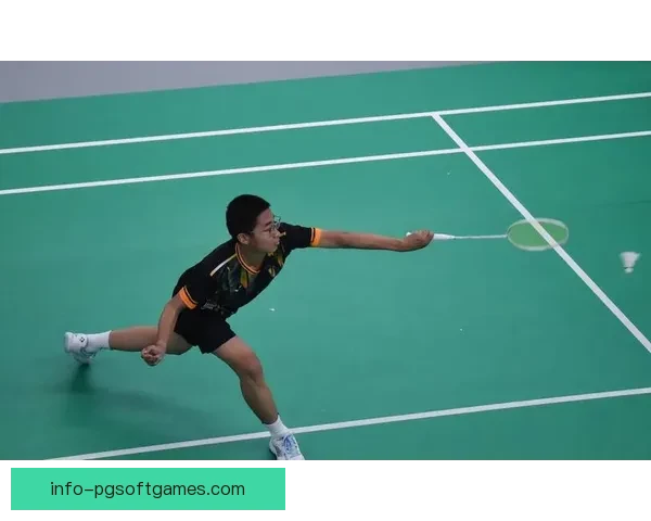 羽毛球赛事：全球华人羽球精英争霸盛会