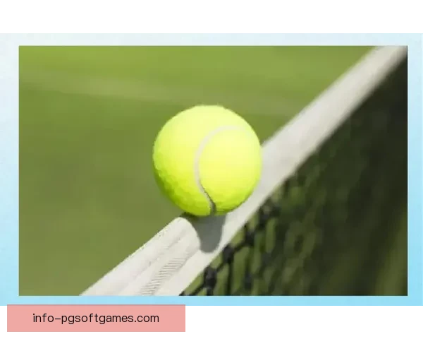 网球入门指南:从零开始学习网球技术 网球入门指南:从零开始学习网球技术