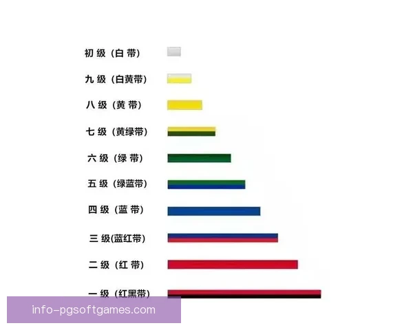 跆拳道赛程全解析：规则、技术、战术全揭秘