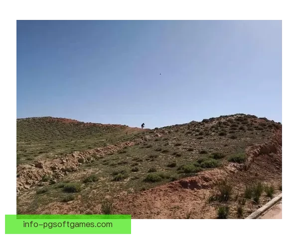 越野跑比赛实时成绩监控系统