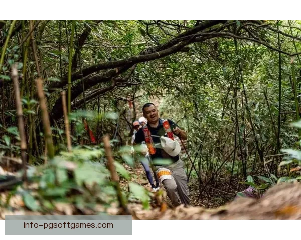 越野跑入门指南：从基本装备到训练技巧