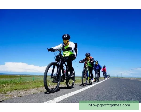 骑行风云：挑战极速，征服高山